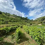 Quinta Do Enxertado Villa