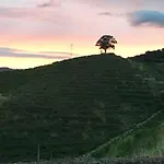 Villa Quinta Do Enxertado Vila Real