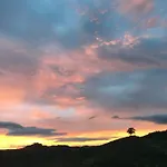 Quinta Do Enxertado