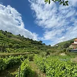 Villa Quinta Do Enxertado Vila Real