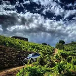 Villa Quinta Do Enxertado