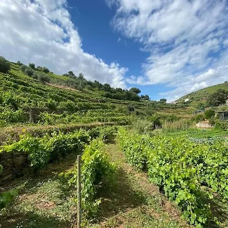Quinta Do Enxertado 别墅