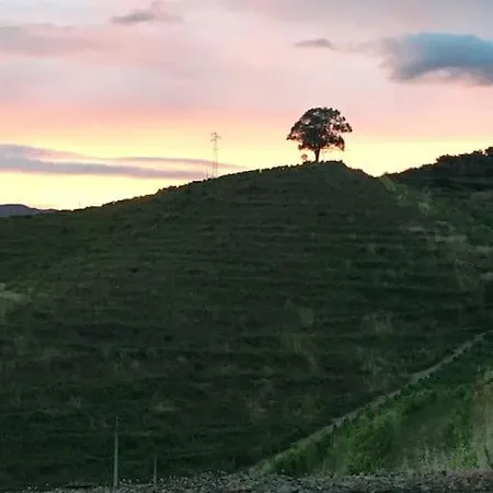 别墅 Quinta Do Enxertado 维拉·雷阿尔