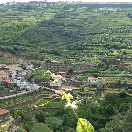 Quinta Do Enxertado