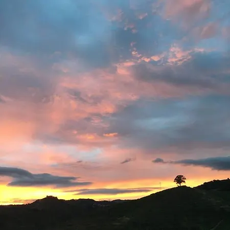 Quinta Do Enxertado