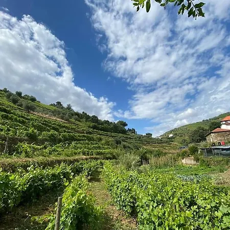 别墅 Quinta Do Enxertado 维拉·雷阿尔