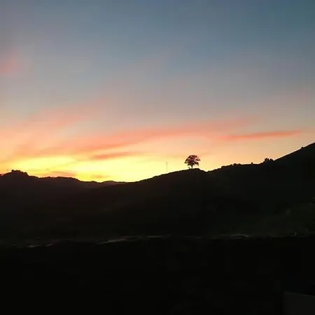 Quinta Do Enxertado