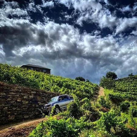 别墅 Quinta Do Enxertado