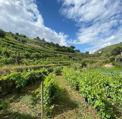 Quinta Do Enxertado Villa