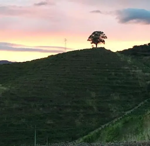 Villa Quinta Do Enxertado Vila Real