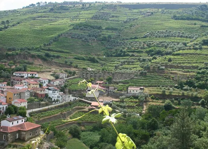Quinta Do Enxertado