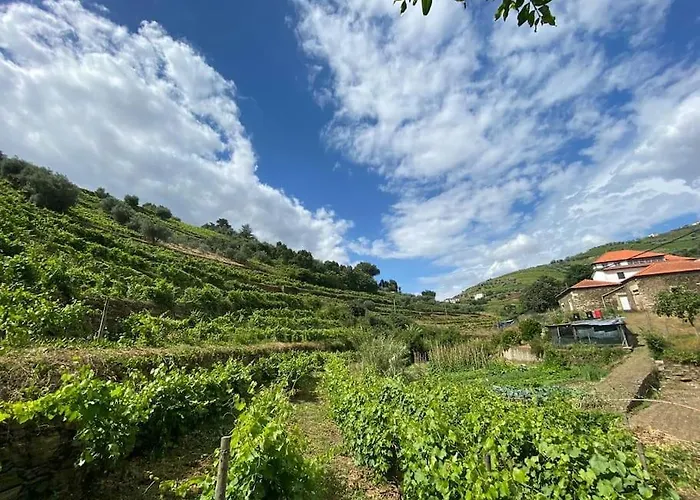 Villa Quinta Do Enxertado Vila Real