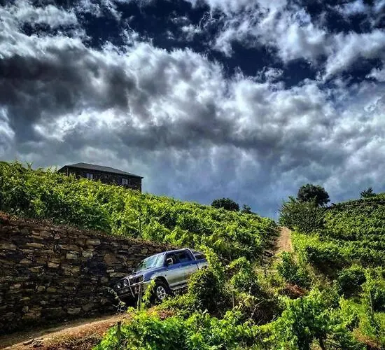 Villa Quinta Do Enxertado